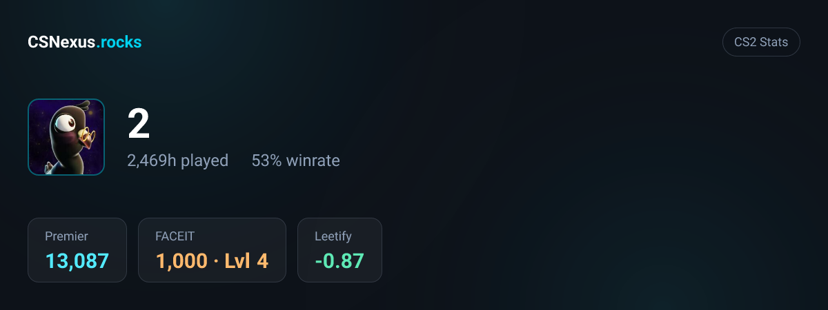 CS2 stats card for 2
