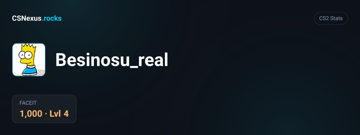 CS2 stats card for Besinosu_real