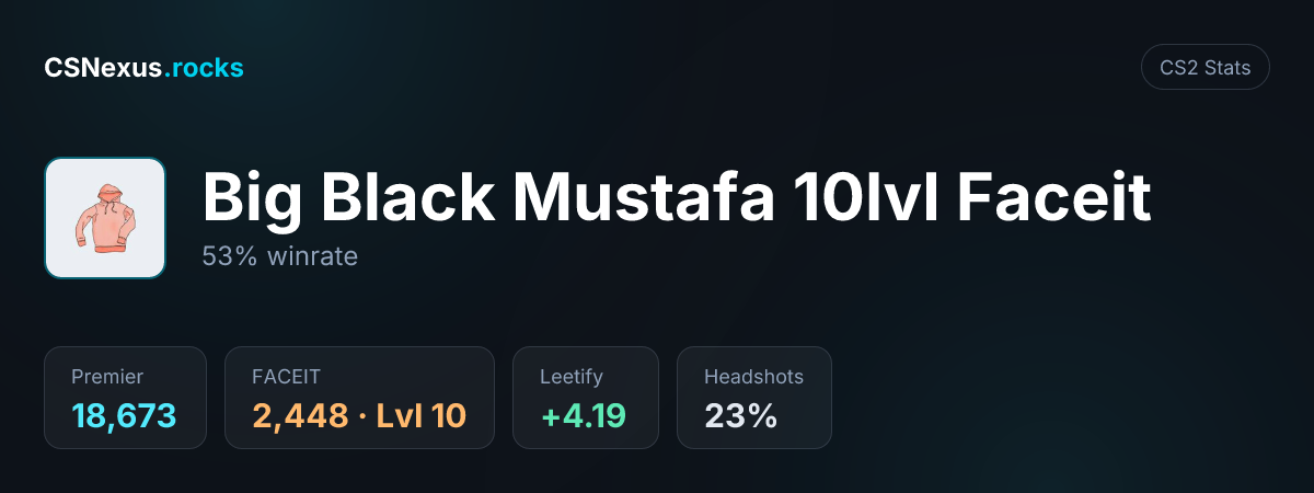 CS2 stats card for Big Black Mustafa 10lvl Faceit