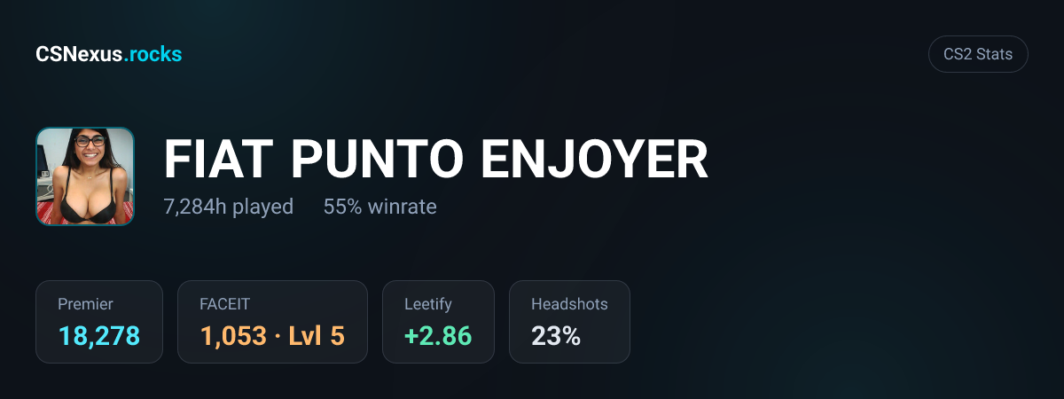 CS2 stats card for FIAT PUNTO ENJOYER