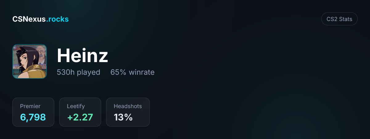 CS2 stats card for Heinz