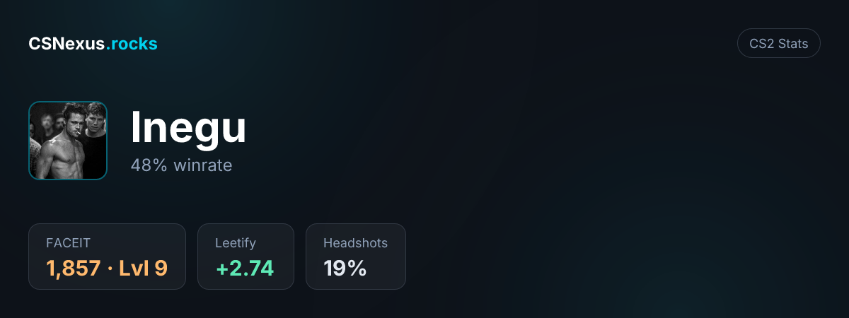 CS2 stats card for Inegu