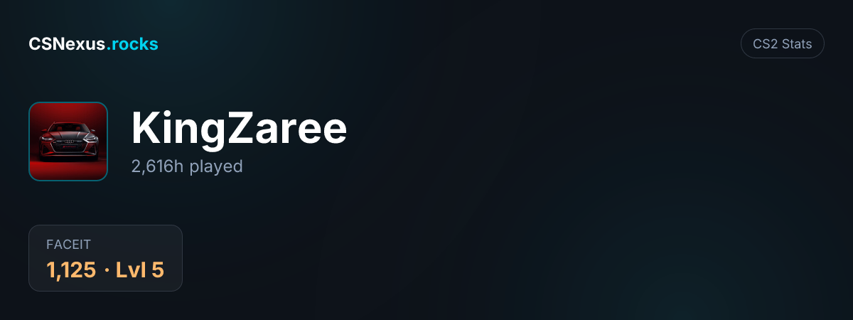 CS2 stats card for KingZaree