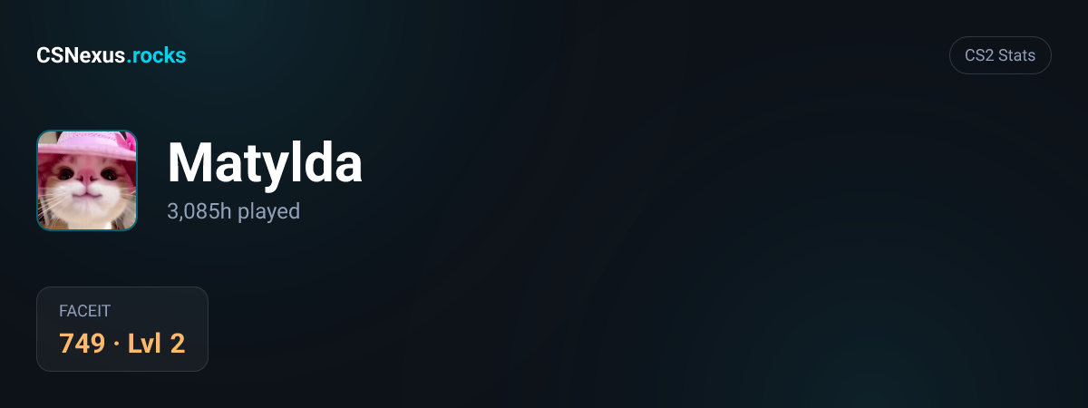 CS2 stats for Matylda