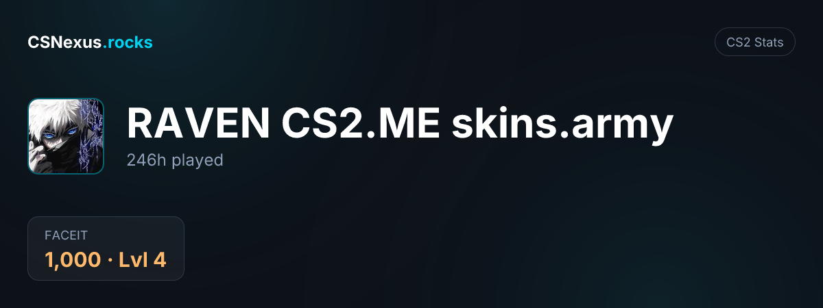 CS2 stats card for RAVEN CS2.ME skins.army