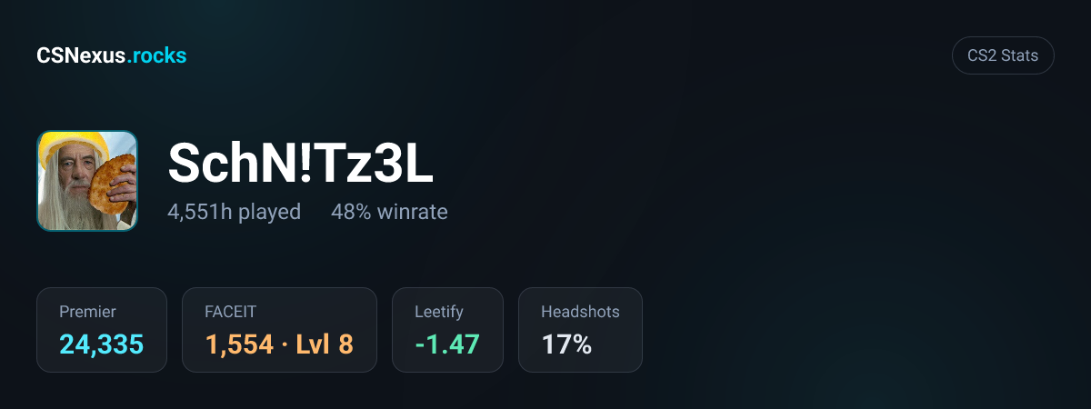 CS2 stats for SchN!Tz3L