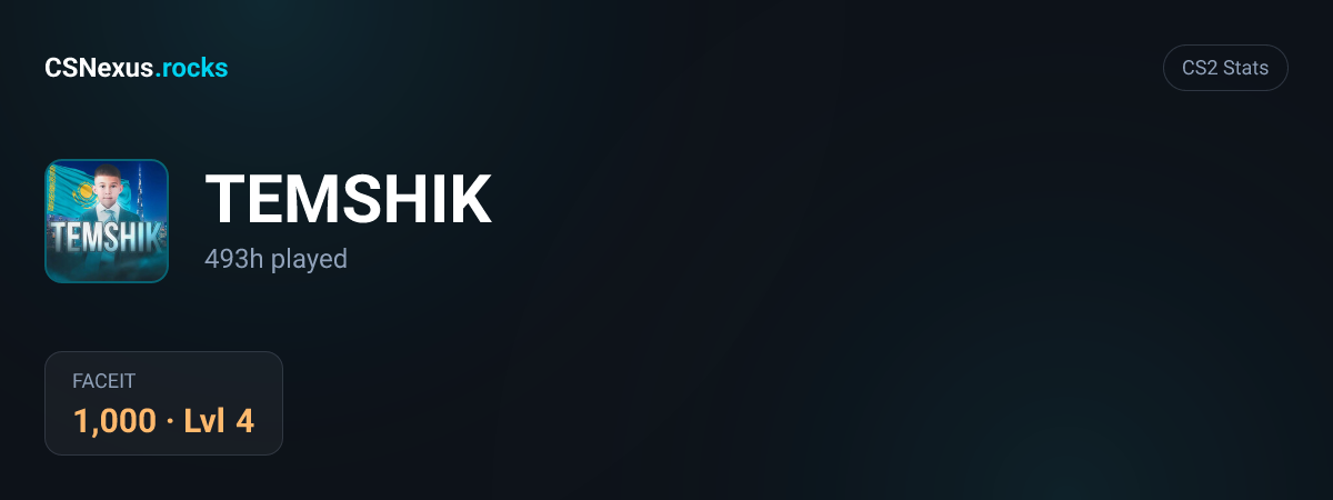 CS2 stats card for TEMSHIK