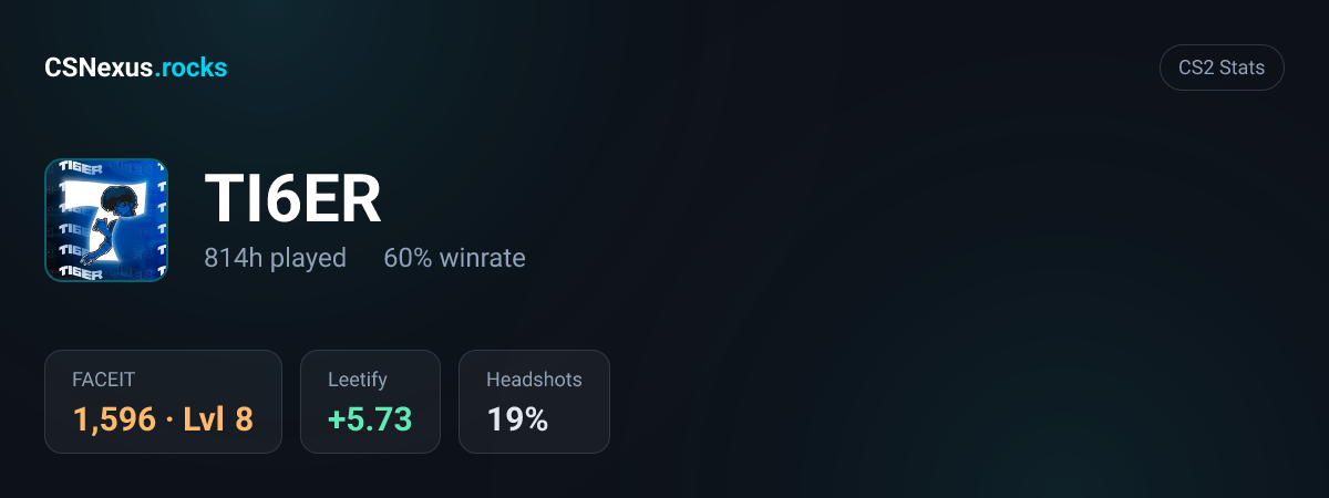 CS2 stats card for TI6ER