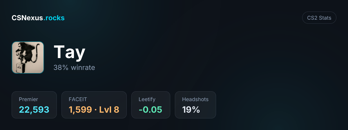 CS2 stats card for Tay