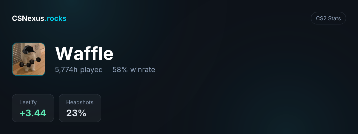CS2 stats card for Waffle