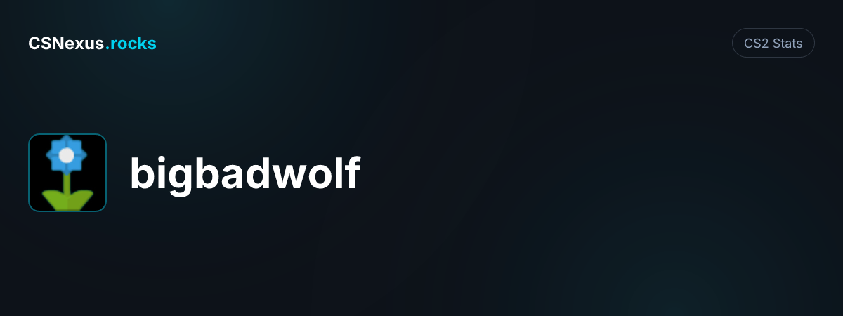 CS2 stats card for bigbadwolf