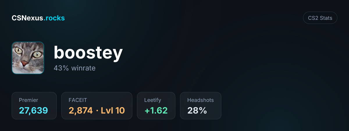 CS2 stats card for boostey