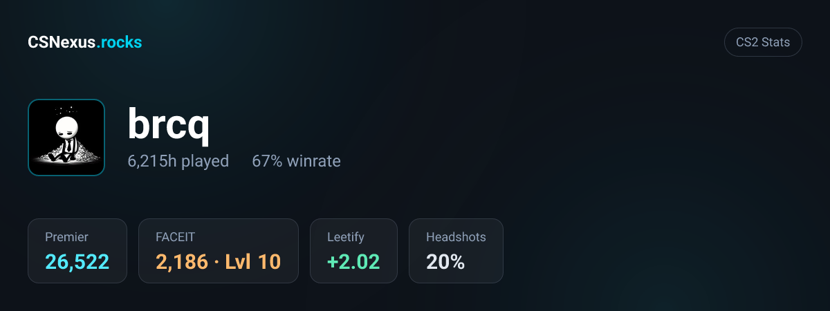 CS2 stats card for brcq