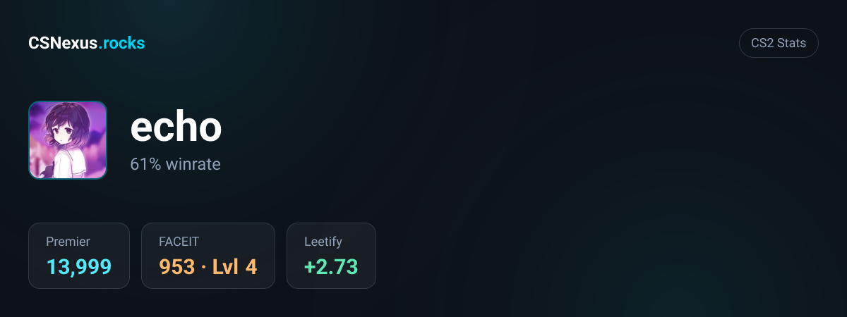 CS2 stats card for echo
