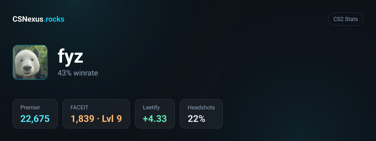 CS2 stats for fyz
