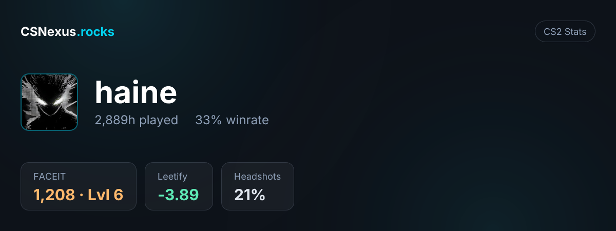 CS2 stats card for haine