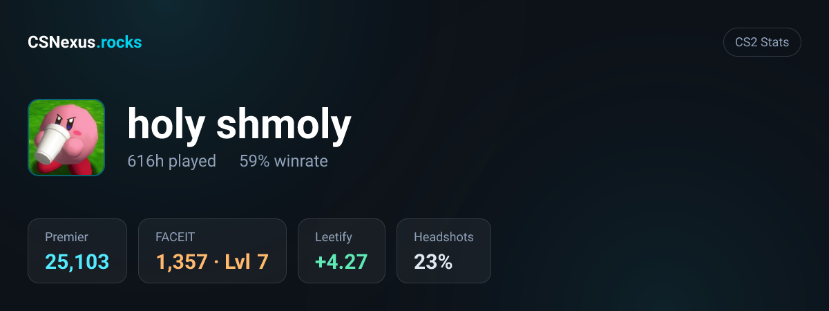 CS2 stats card for holy shmoly