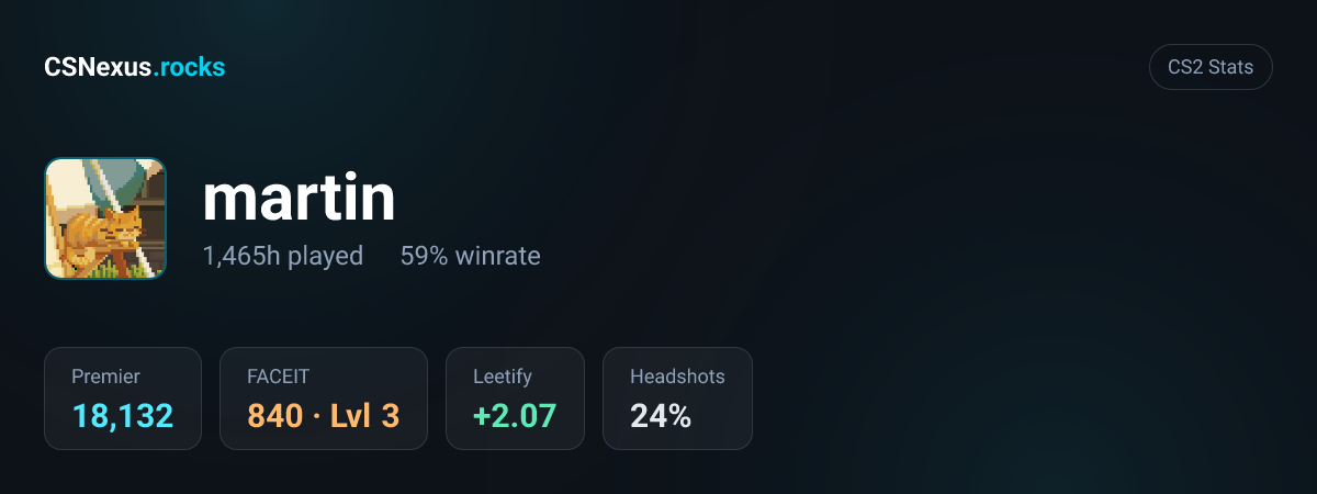 CS2 stats card for martin