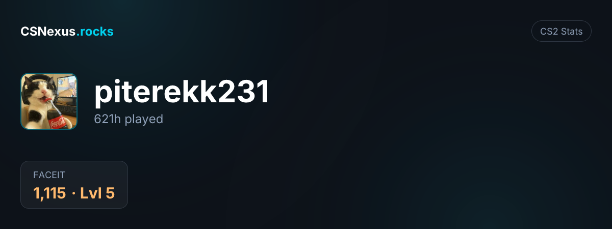 CS2 stats card for piterekk231