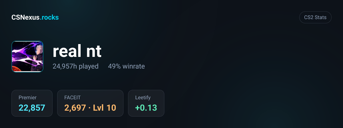 CS2 stats card for real nt