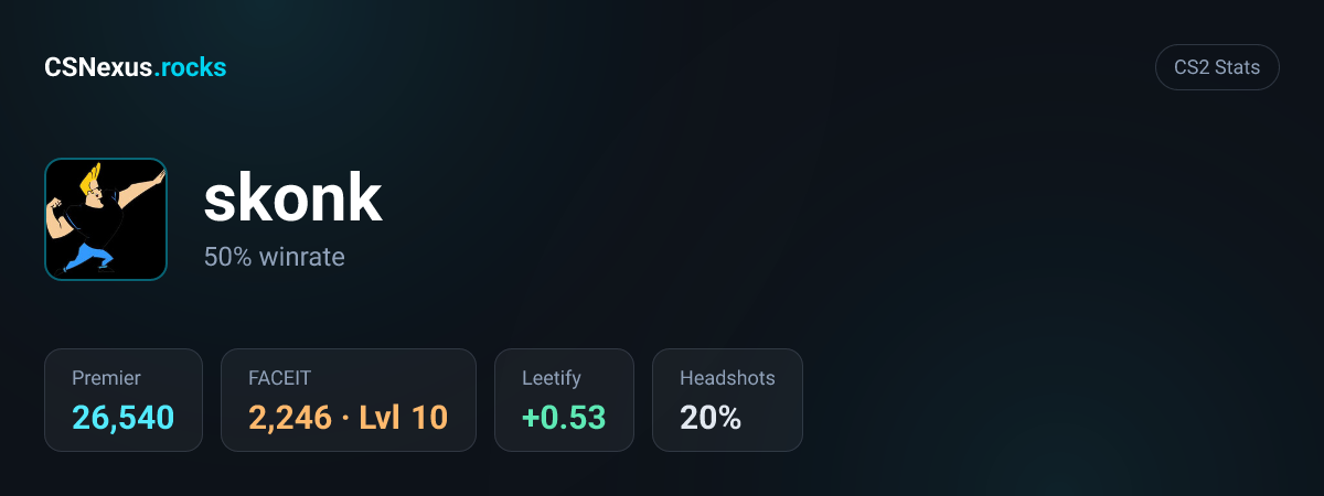 CS2 stats for skonk