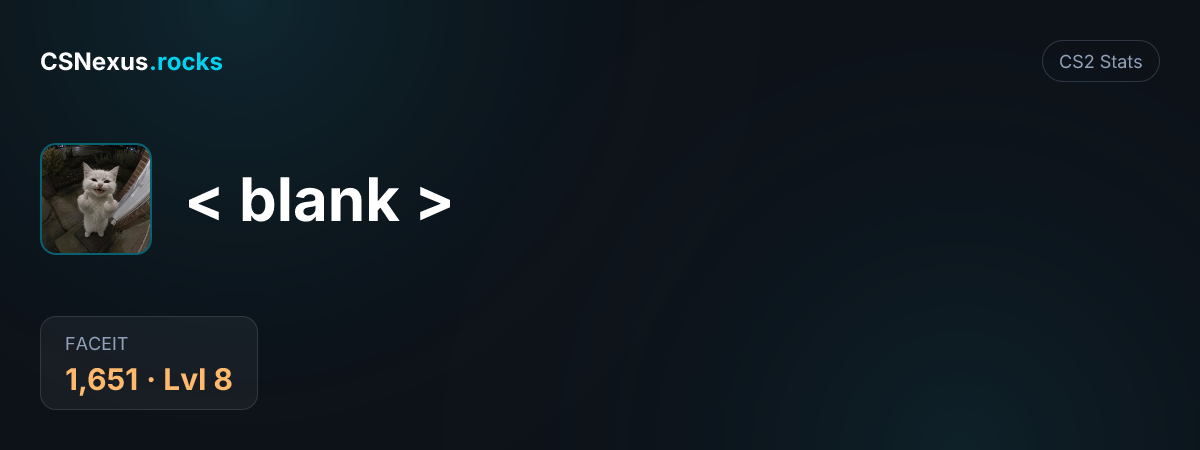 CS2 stats card for < blank >