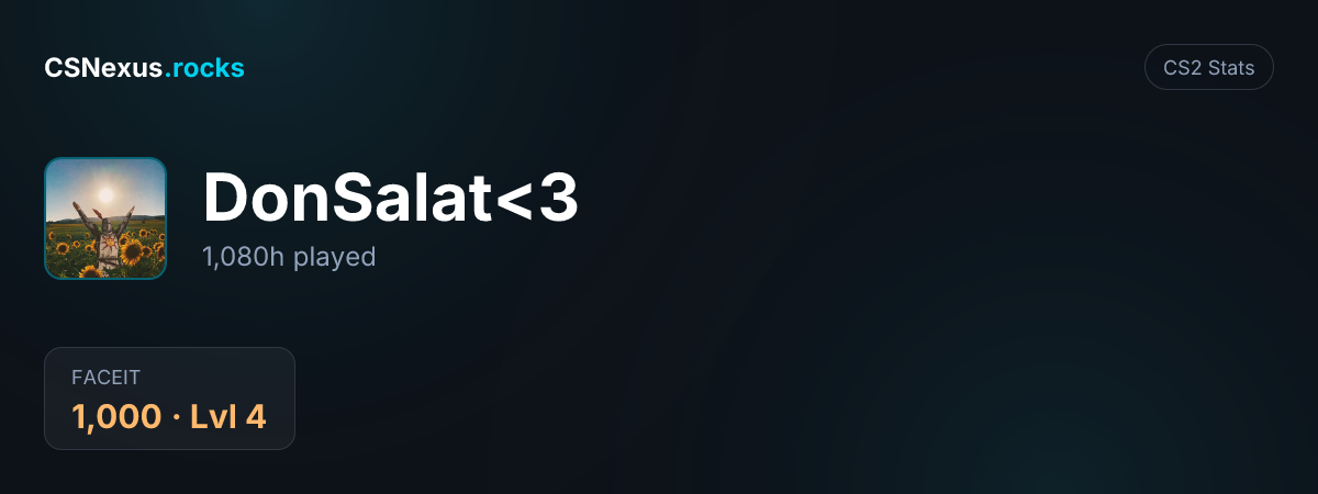 CS2 stats card for DonSalat<3