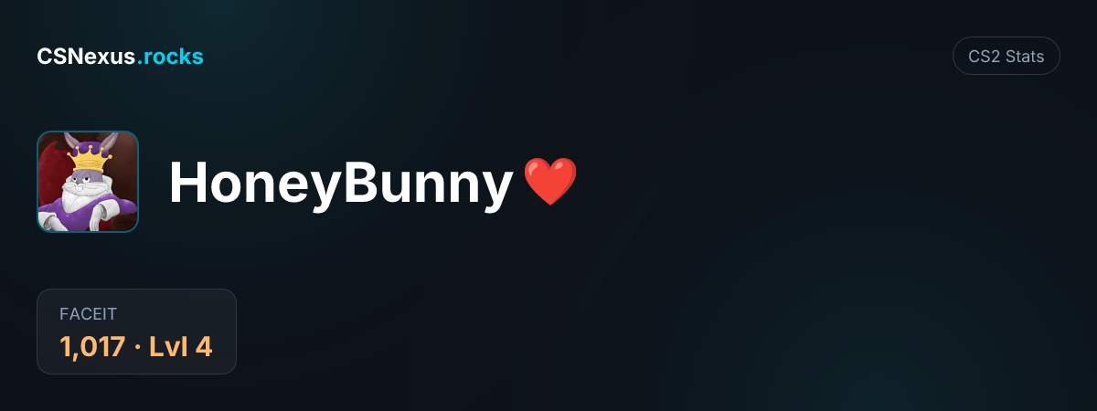 CS2 stats card for HoneyBunny ❤