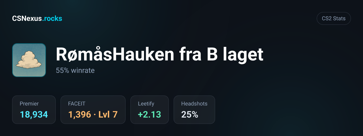CS2 stats card for RømåsHauken fra B laget
