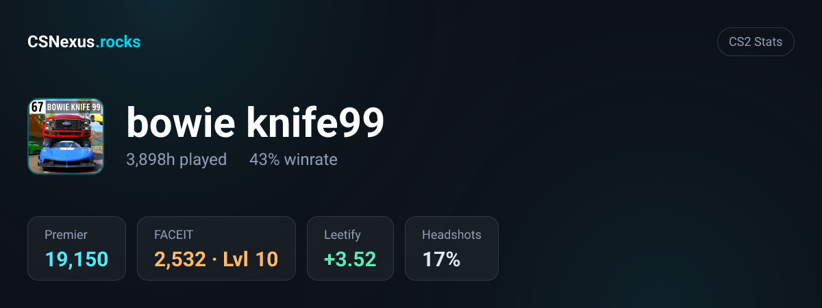 CS2 stats for bowie knife99