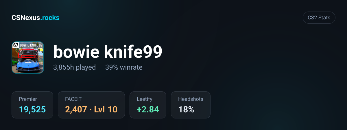 CS2 stats card for bowie knife99