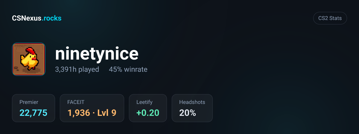CS2 stats card for ninetynice
