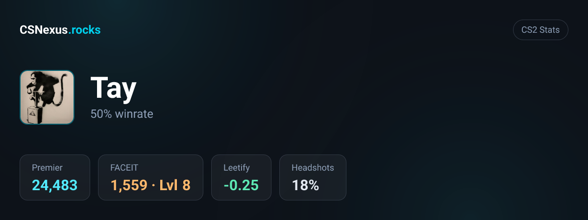CS2 stats card for Tay
