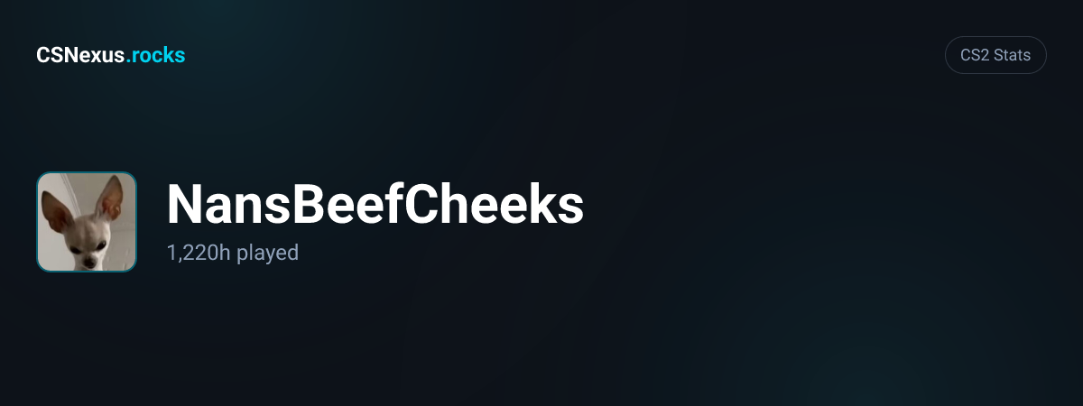 CS2 stats for NansBeefCheeks