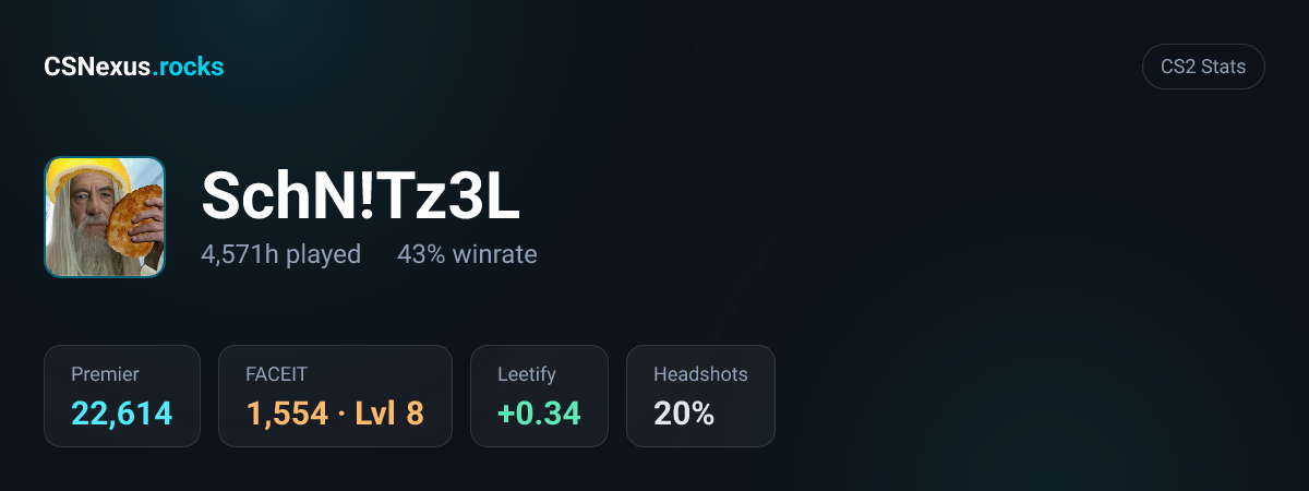 CS2 stats card for SchN!Tz3L