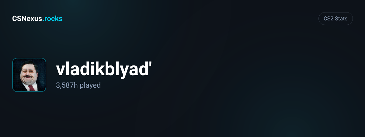 CS2 stats card for vladikblyad'