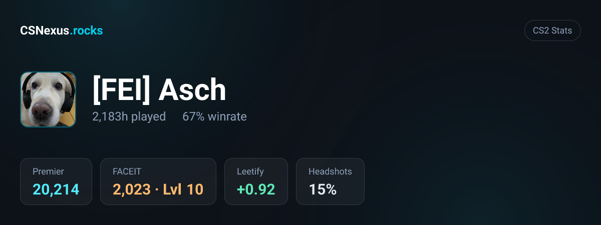 CS2 stats card for [FEI] Asch