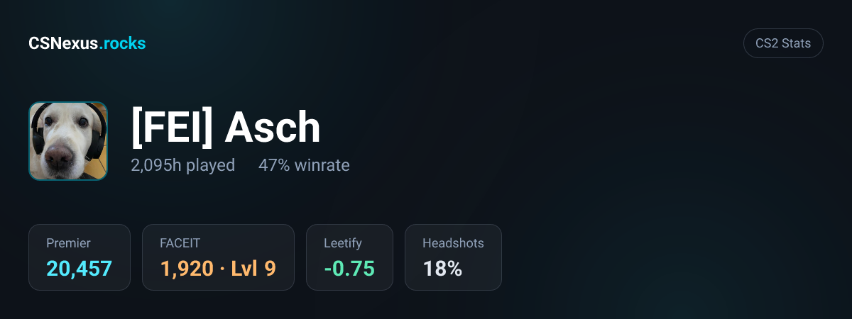 CS2 stats card for [FEI] Asch
