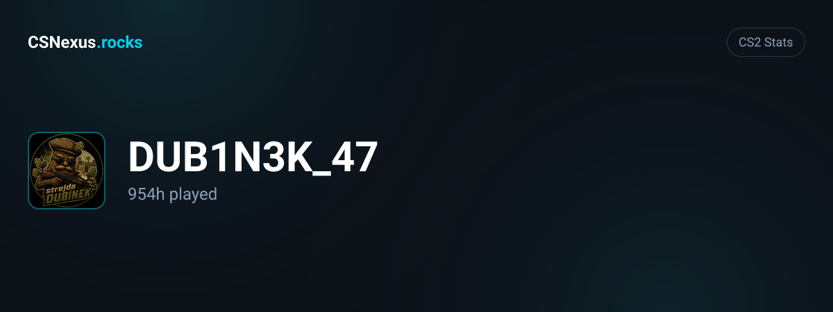 CS2 stats card for DUB1N3K_47