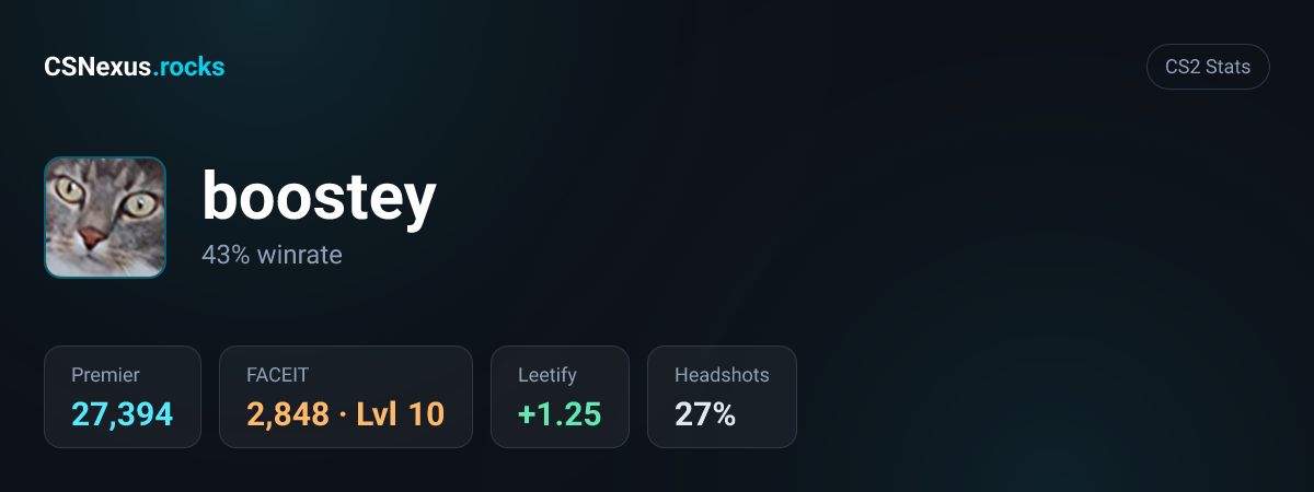 CS2 stats card for boostey