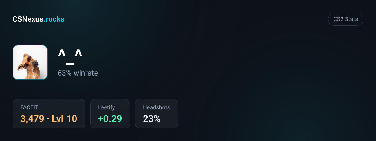 CS2 stats card for ^_^