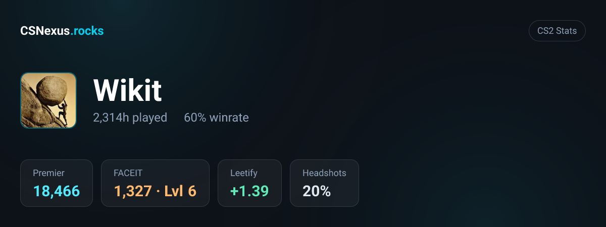 CS2 stats card for Wikit