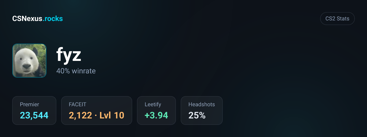 CS2 stats card for fyz