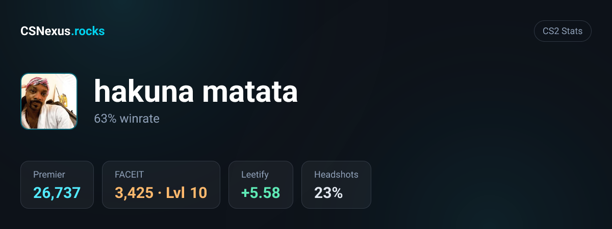 CS2 stats card for hakuna matata