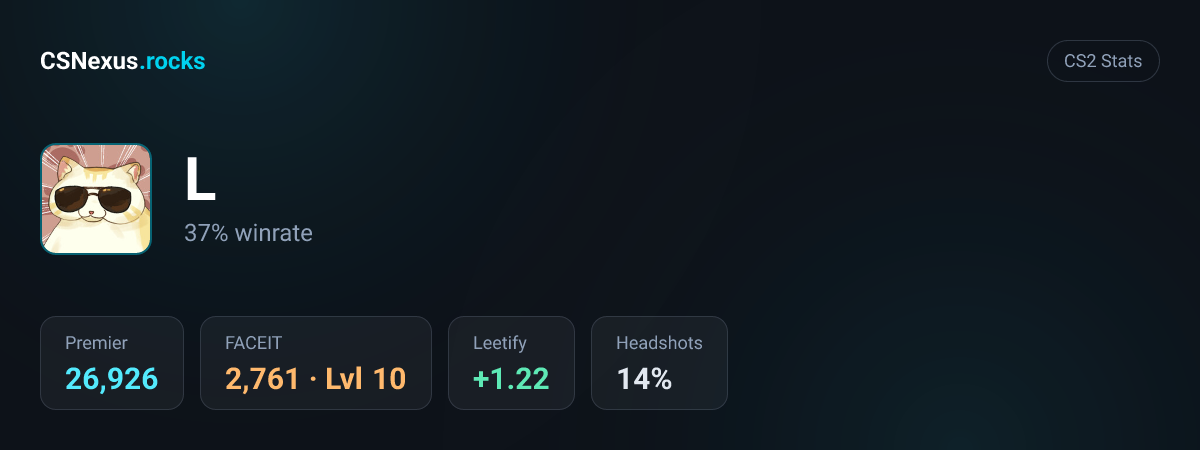 CS2 stats card for L