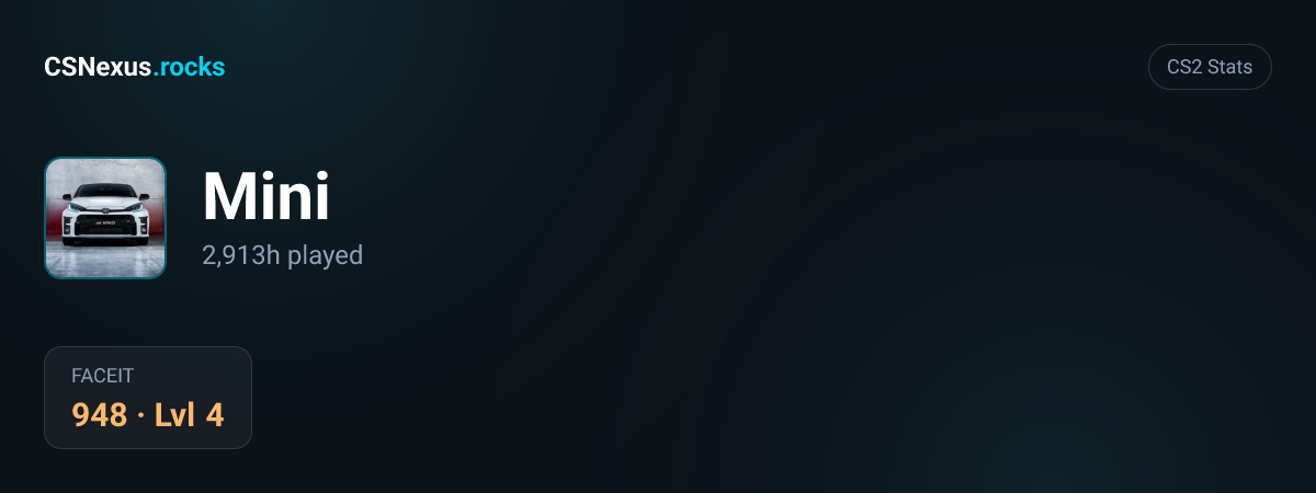 CS2 stats for Mini