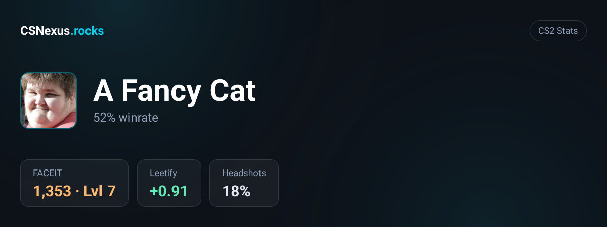 CS2 stats for A Fancy Cat