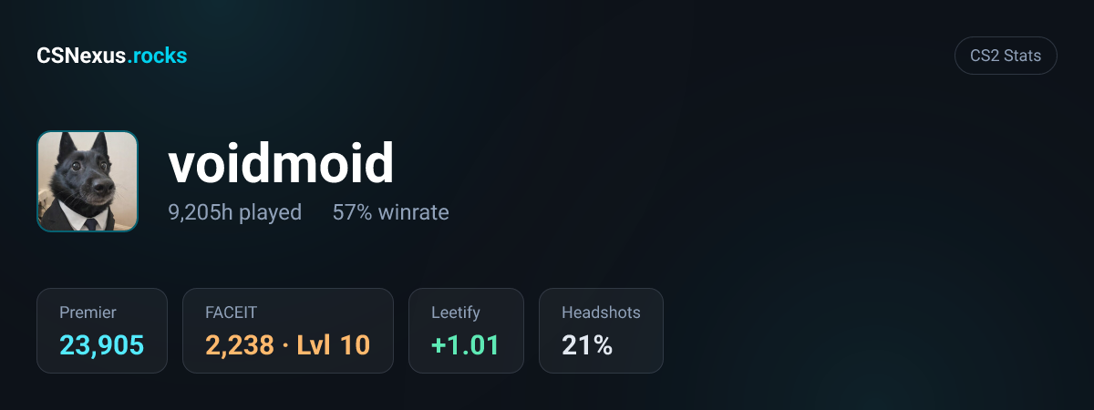 CS2 stats card for voidmoid