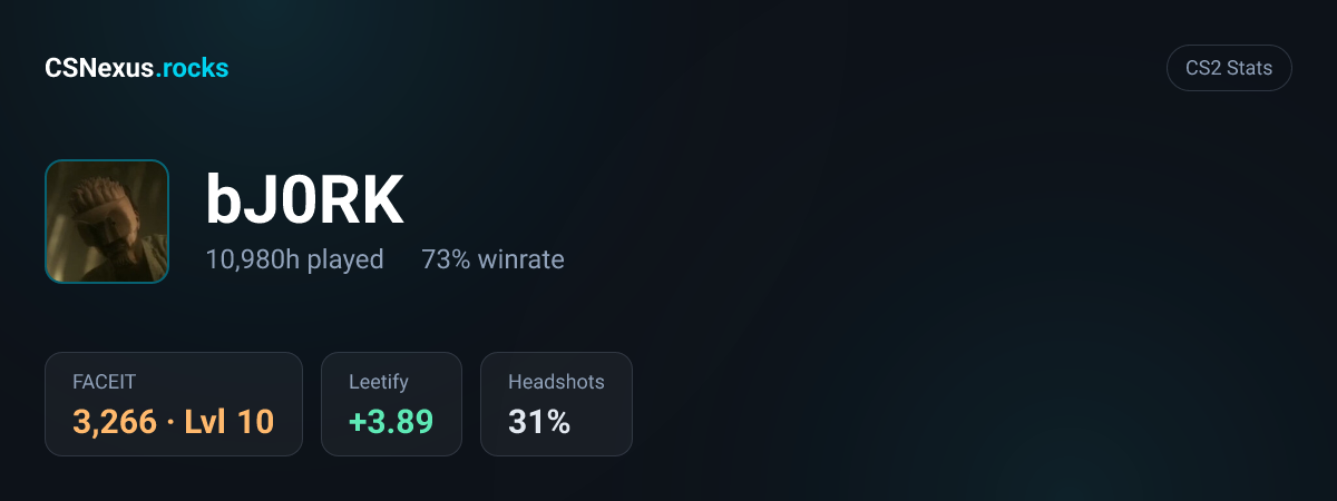 CS2 stats card for bJ0RK