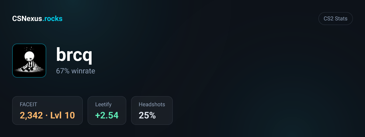 CS2 stats card for brcq